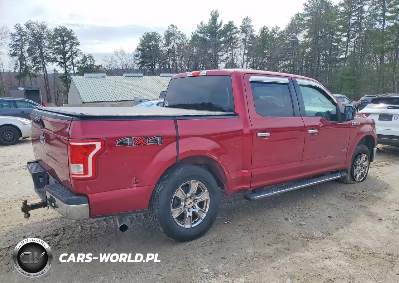 2016 Ford F150 Supercrew VIN:1FTEW1EP2GFD46395 - 3