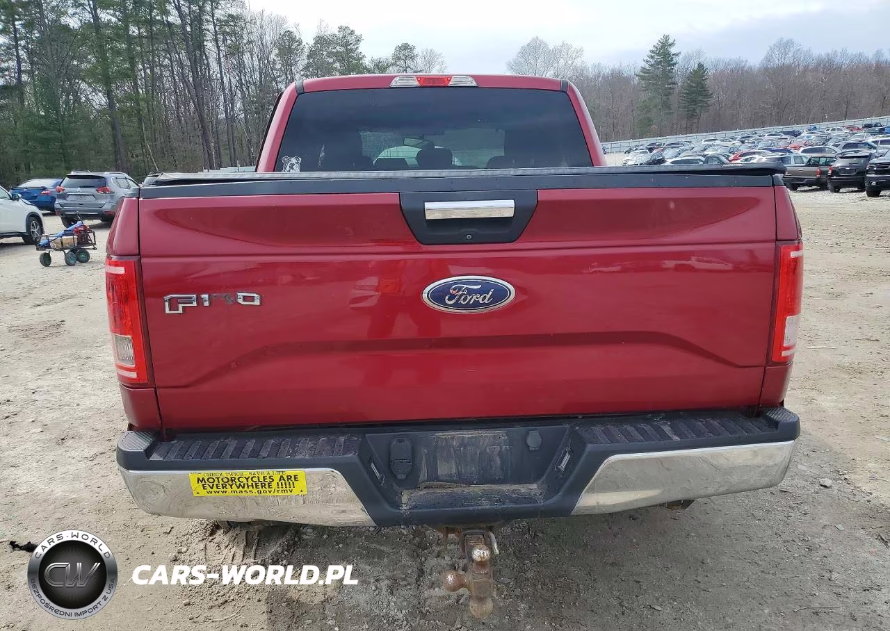 2016 Ford F150 Supercrew VIN:1FTEW1EP2GFD46395 - 6