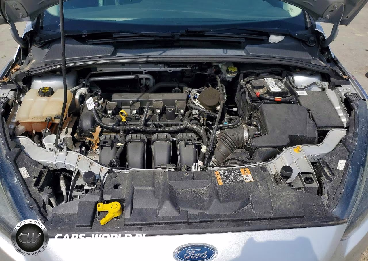 2015 Ford Focus Se VIN:1FADP3F22FL361086 - 11