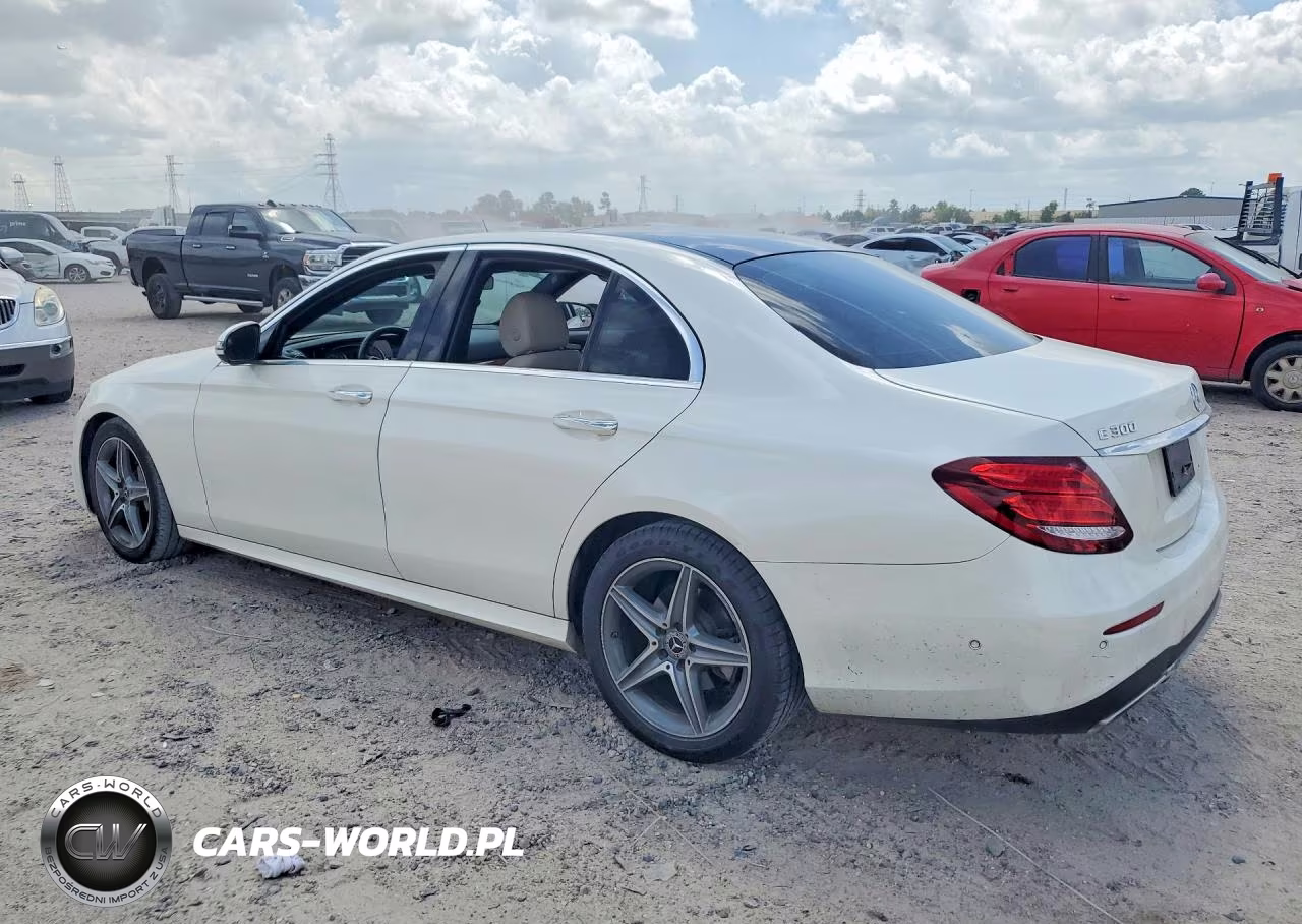 2019 Mercedes-Benz E 300 VIN:WDDZF4JB0KA509845 - 2
