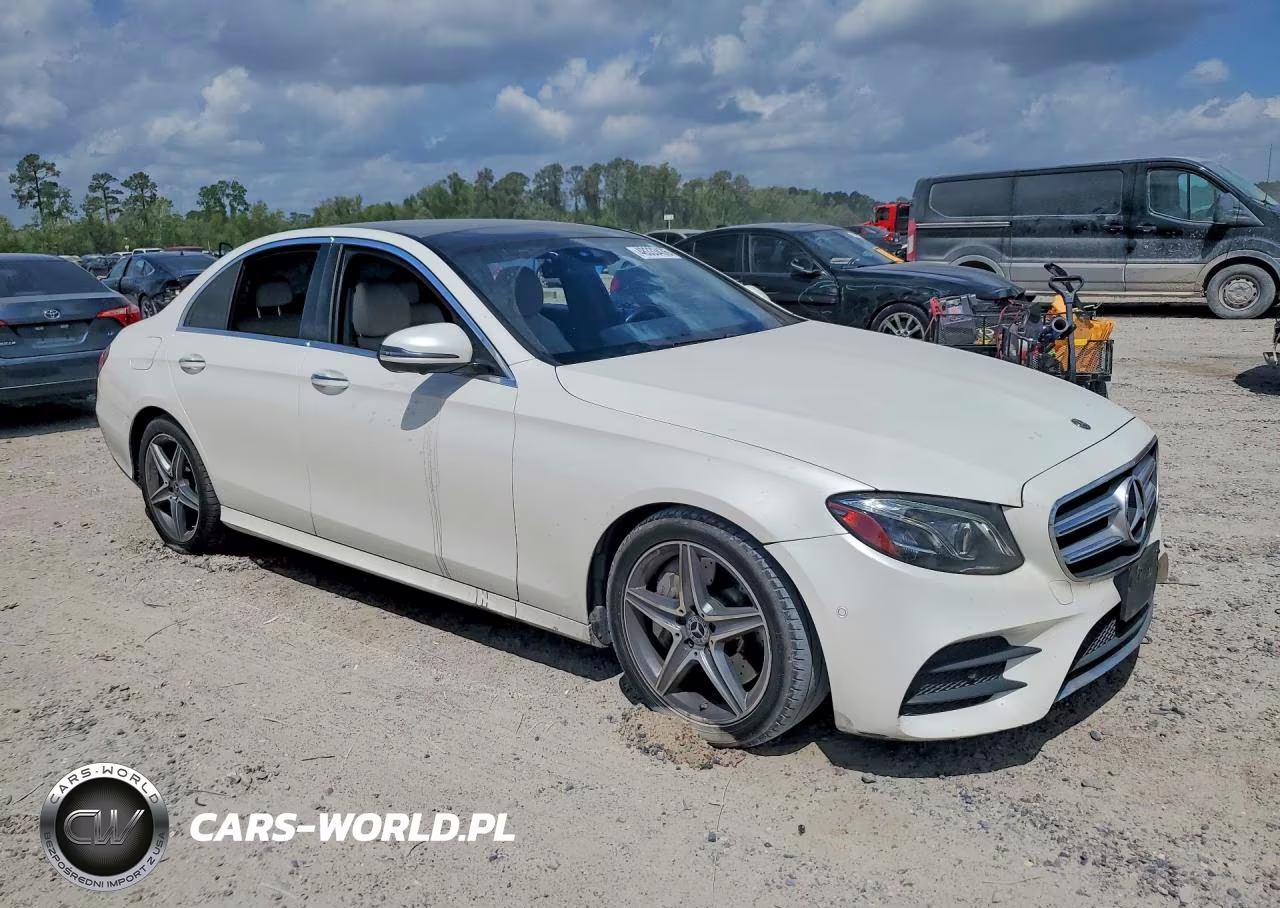 2019 Mercedes-Benz E 300 VIN:WDDZF4JB0KA509845 - 4