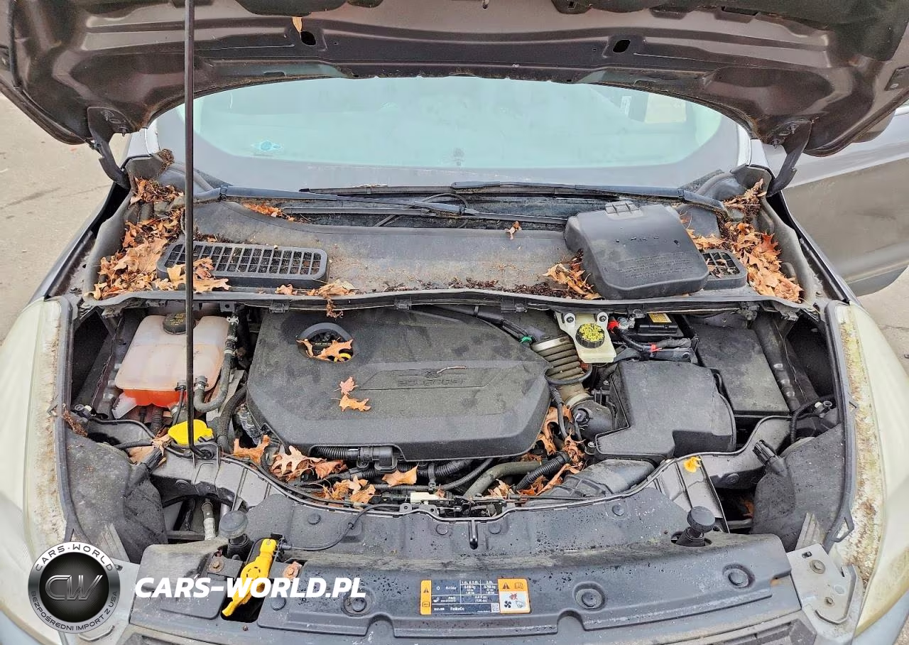 2014 Ford Escape Se VIN:1FMCU0GXXEUA52686 - 12