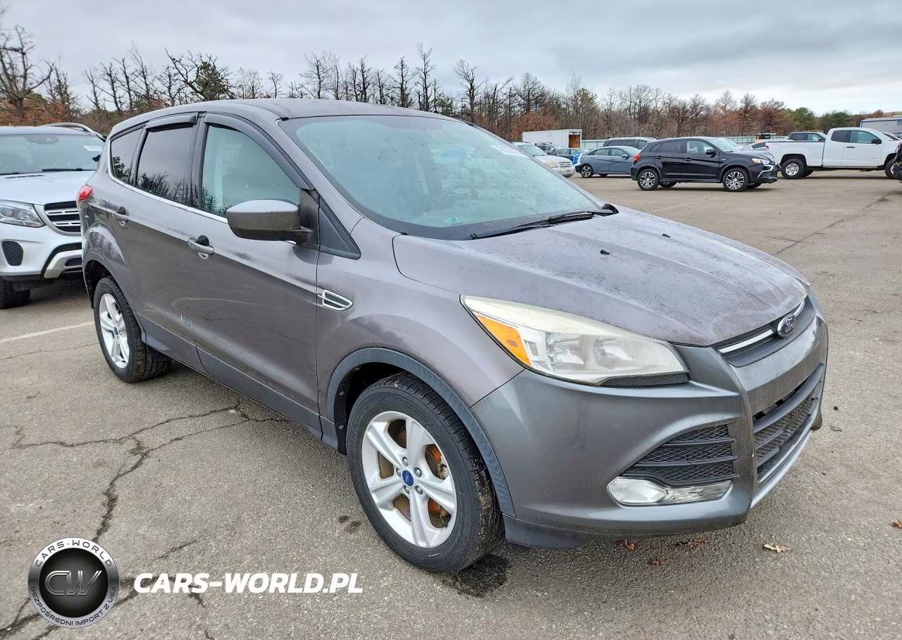 2014 Ford Escape Se VIN:1FMCU0GXXEUA52686 - 4
