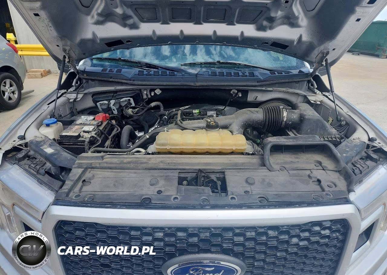 2019 Ford F150 Supercrew VIN:1FTEW1CP9KKE90531 - 11