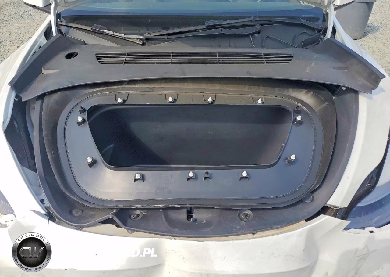 2023 Tesla Model Y VIN:7SAYGDEE9PF671966 - 11