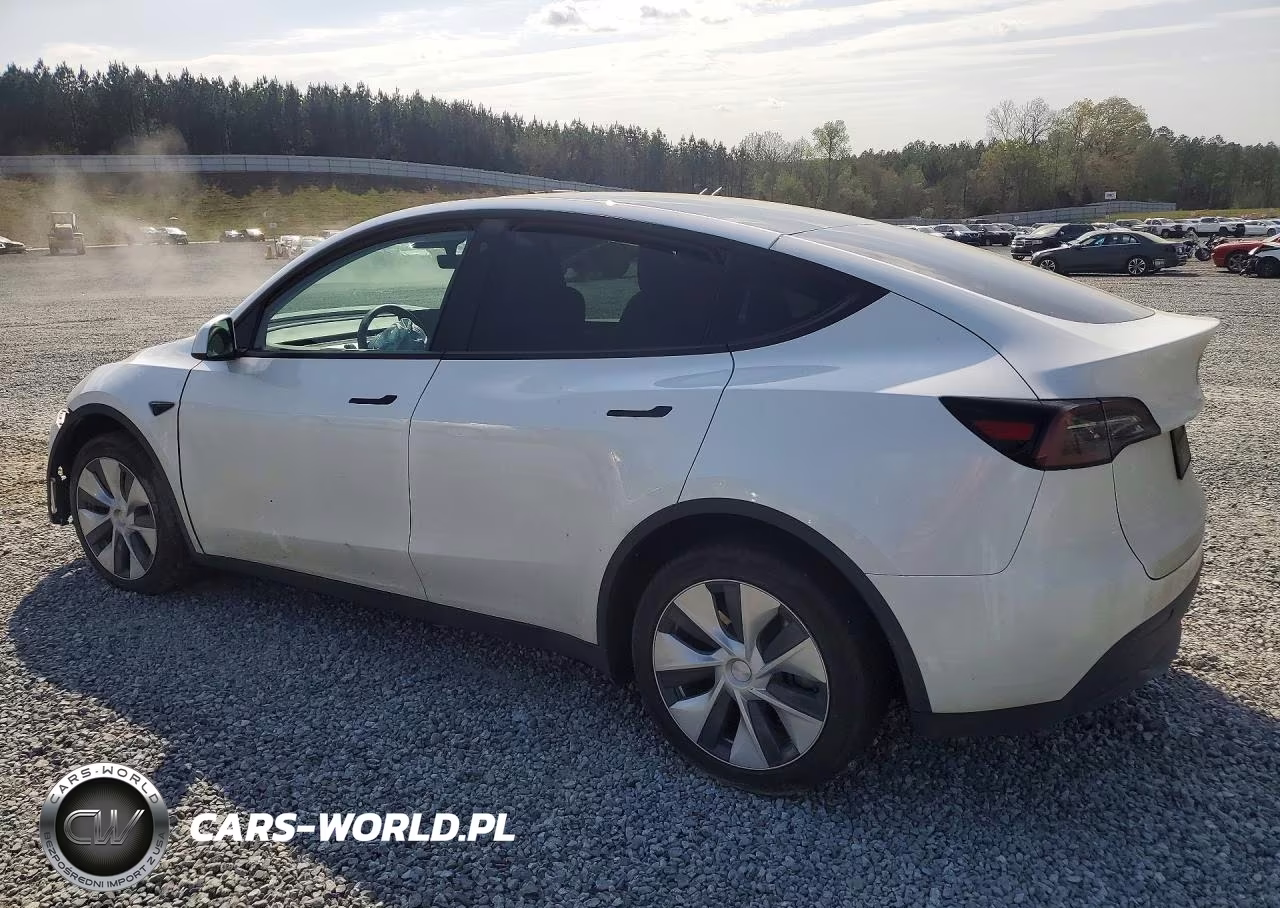 2023 Tesla Model Y VIN:7SAYGDEE9PF671966 - 2