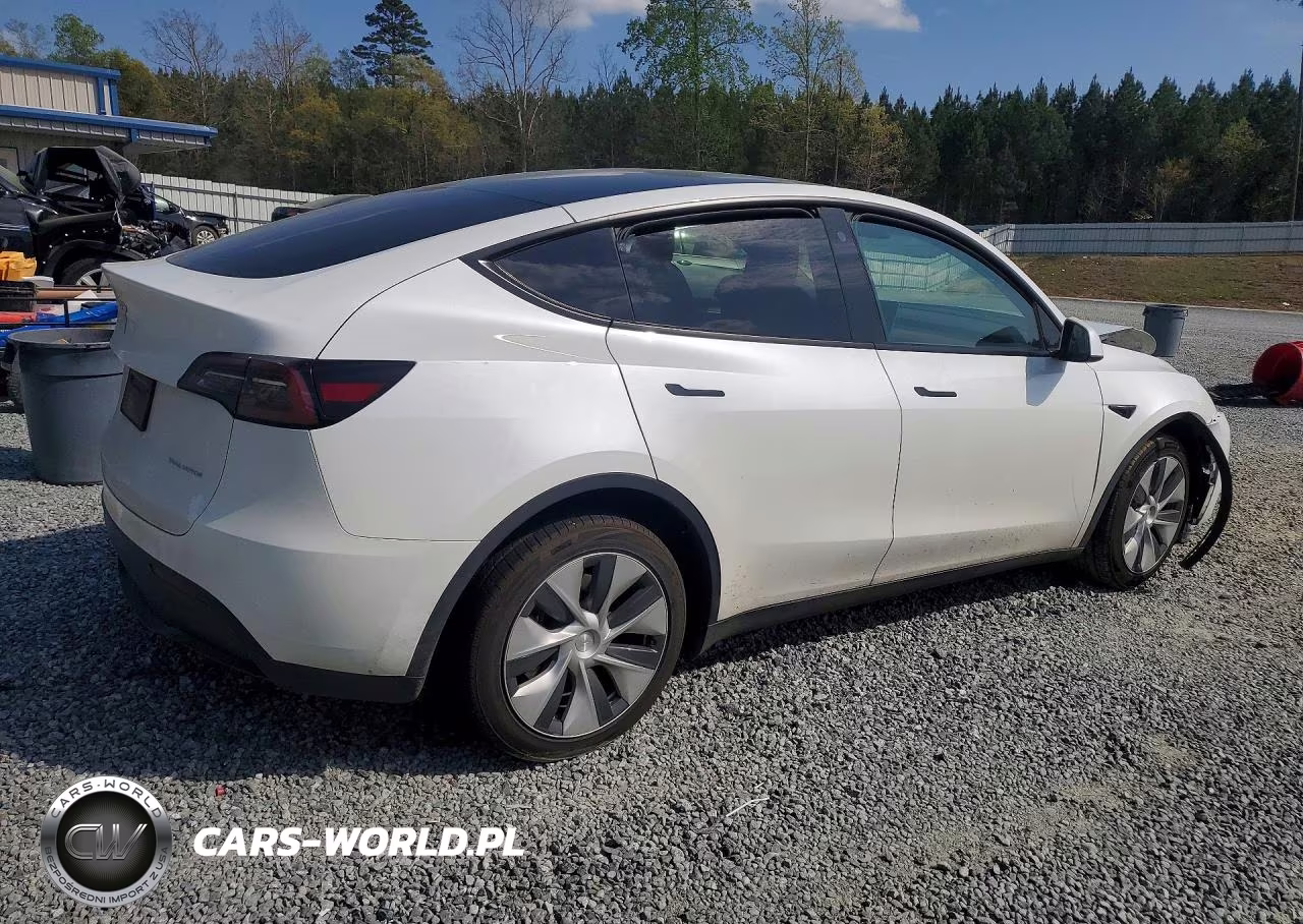 2023 Tesla Model Y VIN:7SAYGDEE9PF671966 - 3