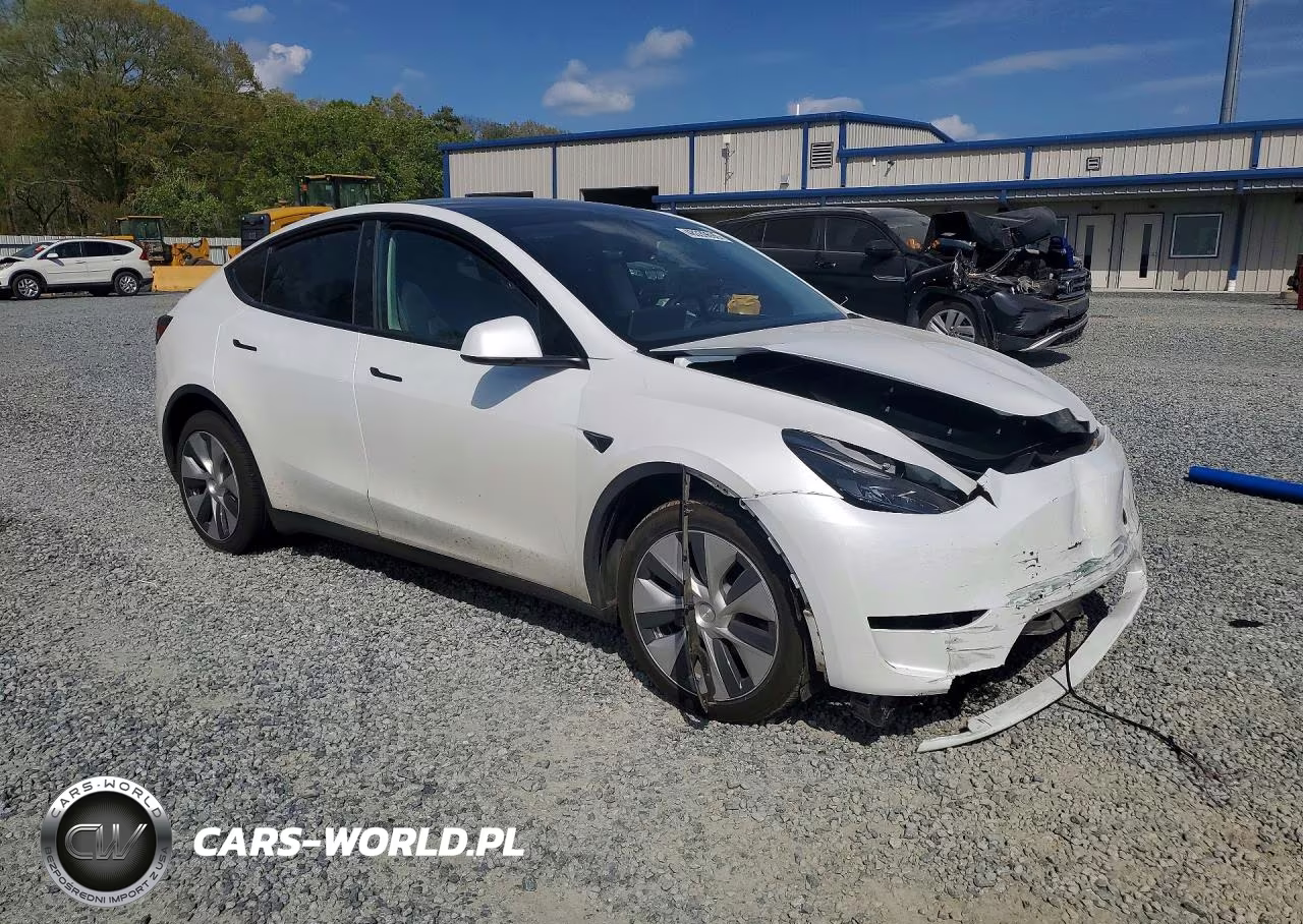2023 Tesla Model Y VIN:7SAYGDEE9PF671966 - 4
