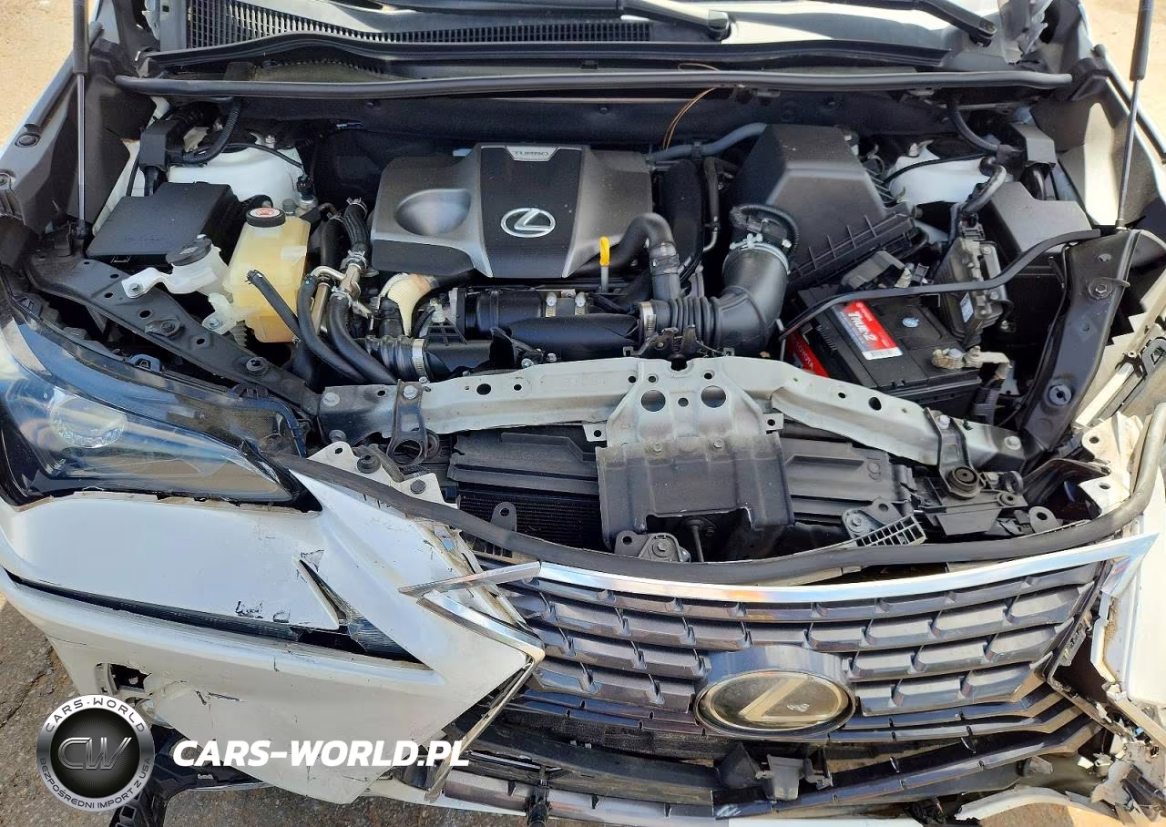 2019 Lexus Nx 300 Base VIN:JTJYARBZ8K2125476 - 12