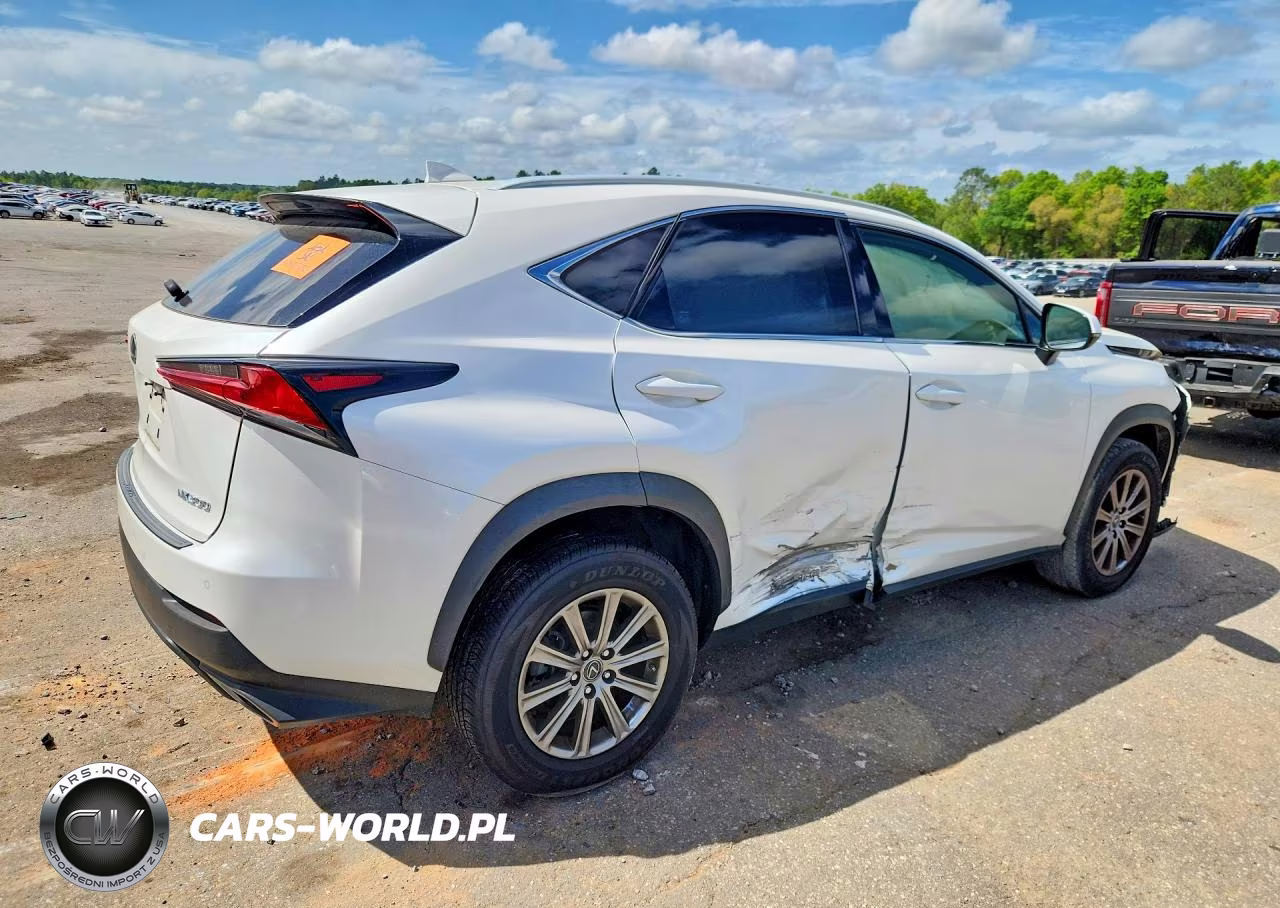 2019 Lexus Nx 300 Base VIN:JTJYARBZ8K2125476 - 3
