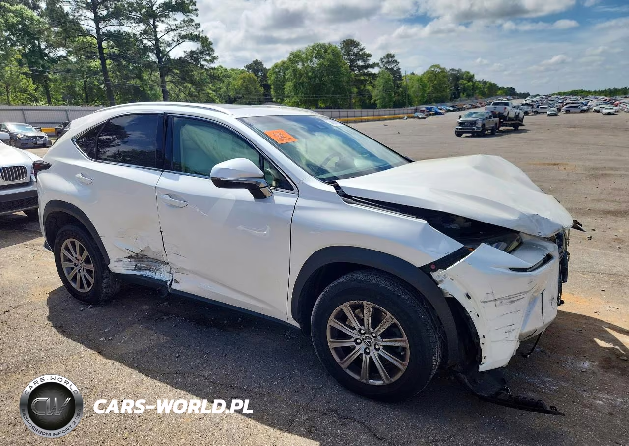 2019 Lexus Nx 300 Base VIN:JTJYARBZ8K2125476 - 4