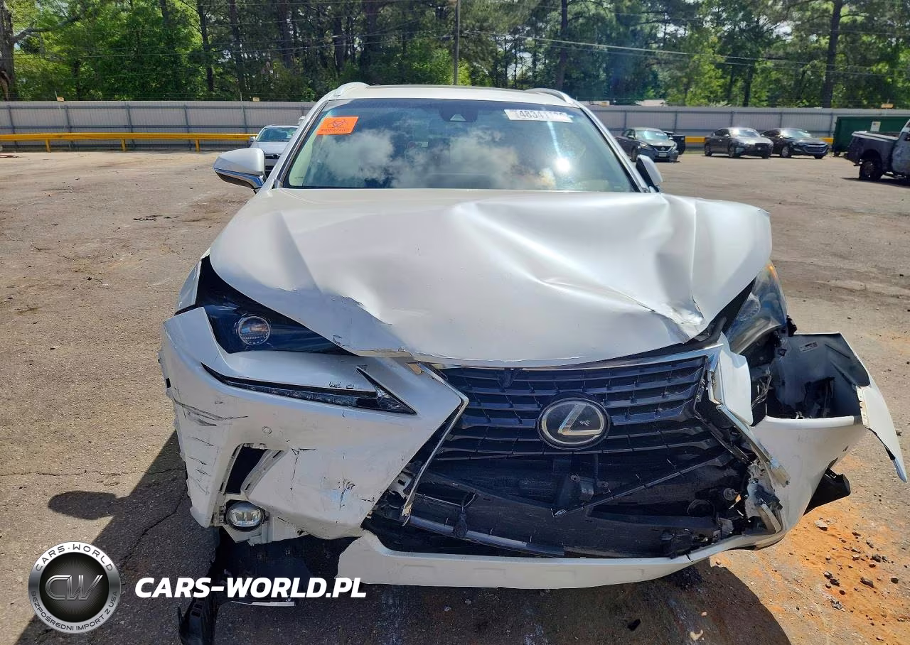 2019 Lexus Nx 300 Base VIN:JTJYARBZ8K2125476 - 5
