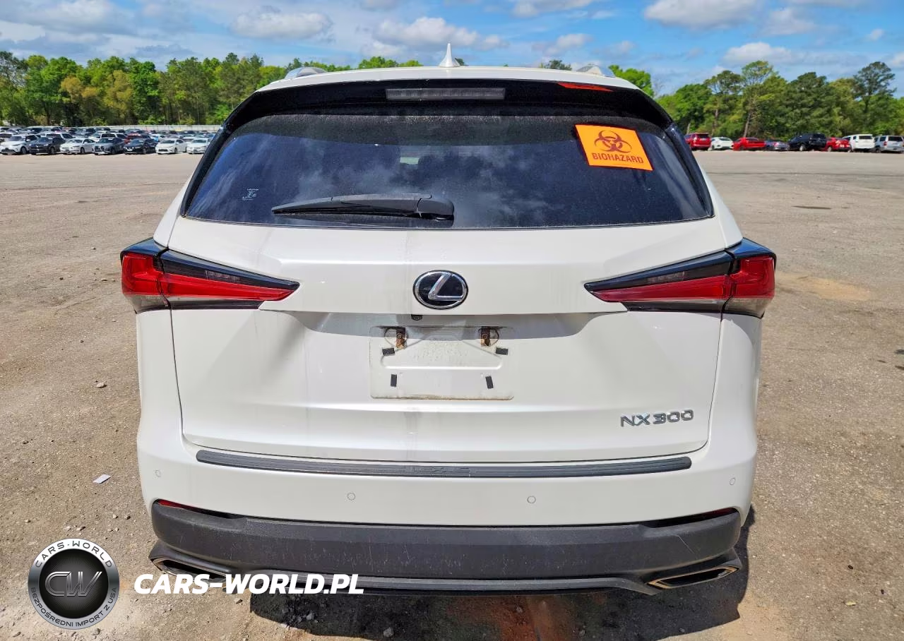 2019 Lexus Nx 300 Base VIN:JTJYARBZ8K2125476 - 6
