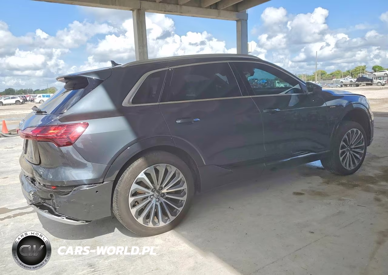 2019 Audi E-Tron Prestige VIN:WA1VAAGEXKB023023 - 3
