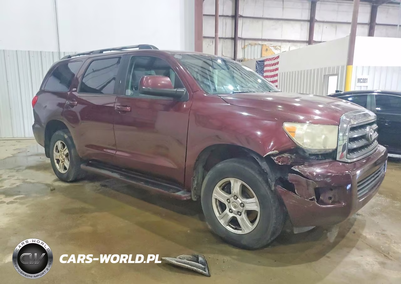 2009 Toyota Sequoia Sr5 VIN:5TDBT64A79S000285 - 4