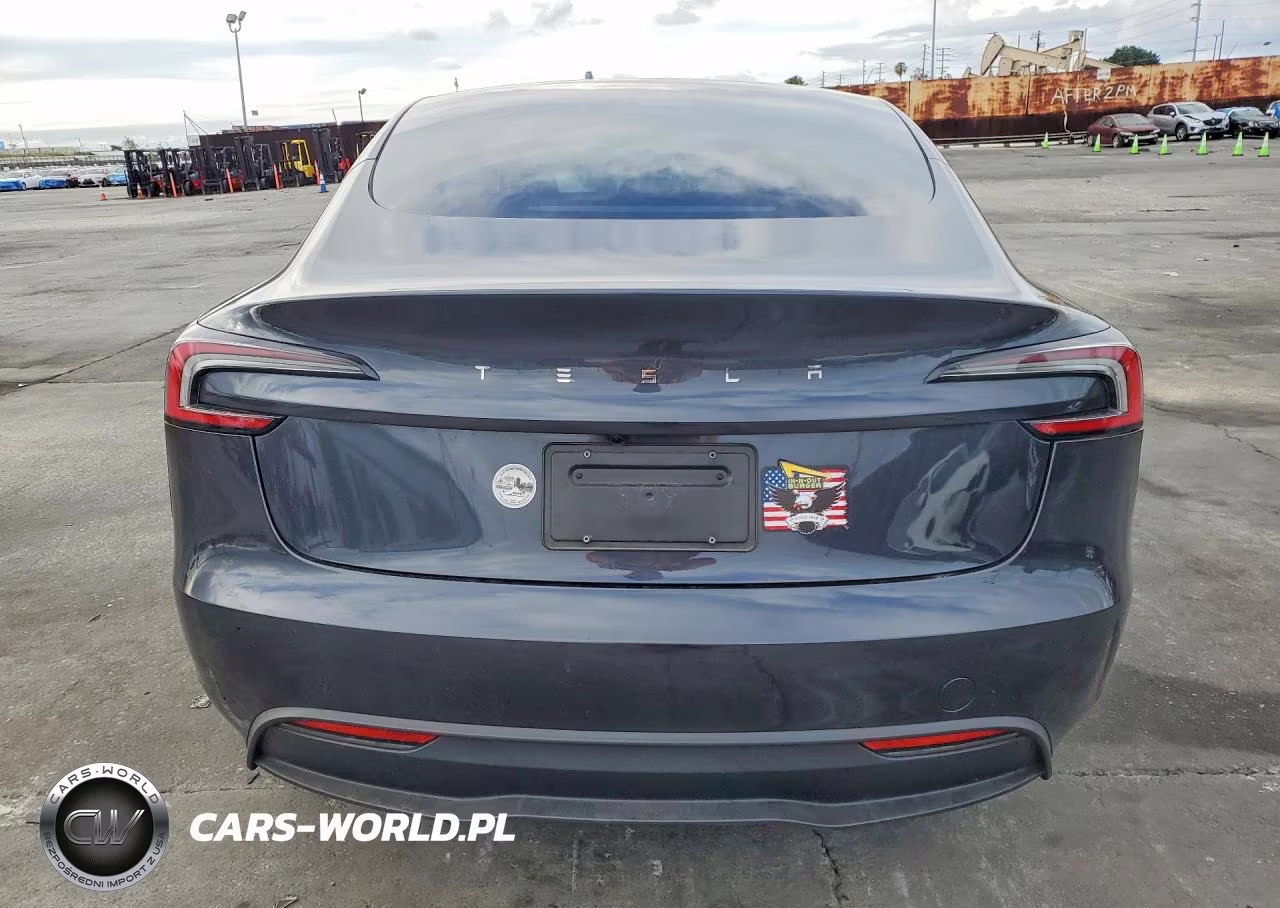 2025 Tesla Model 3 VIN:5YJ3E1EA5SF969304 - 6