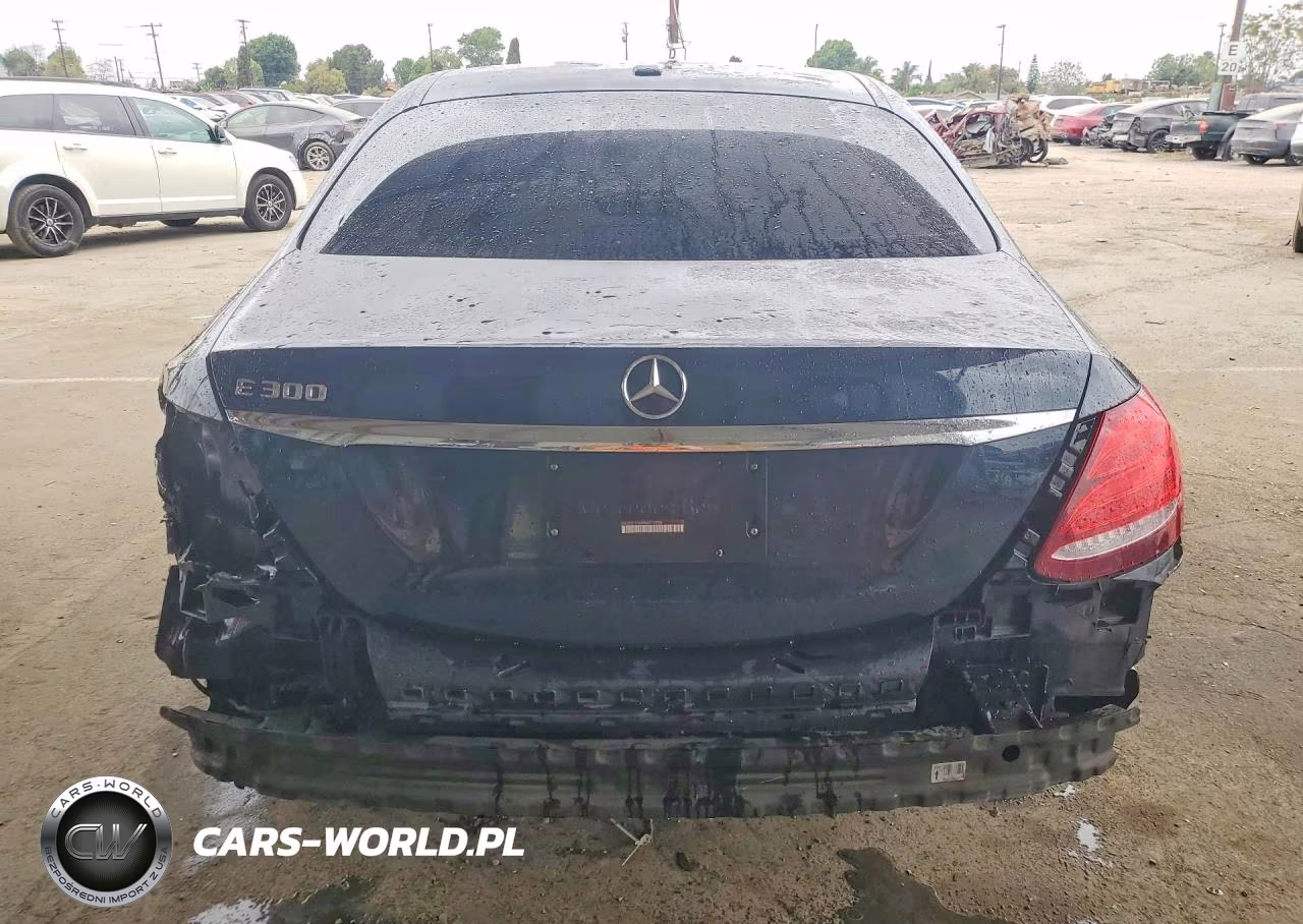 2017 Mercedes-Benz E 300 VIN:WDDZF4JB8HA022739 - 6