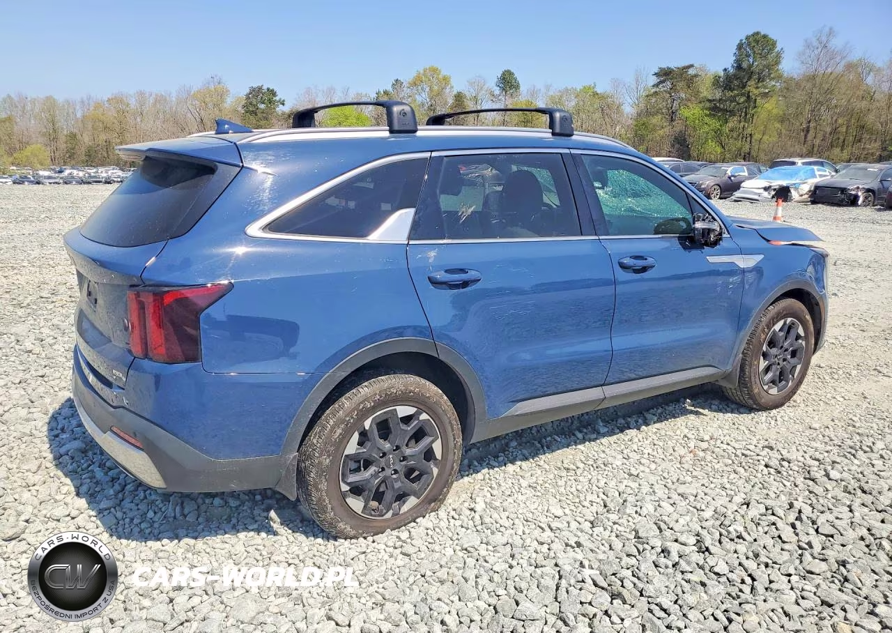 2024 Kia Sorento VIN:5XYRLDJC6RG278469 - 3