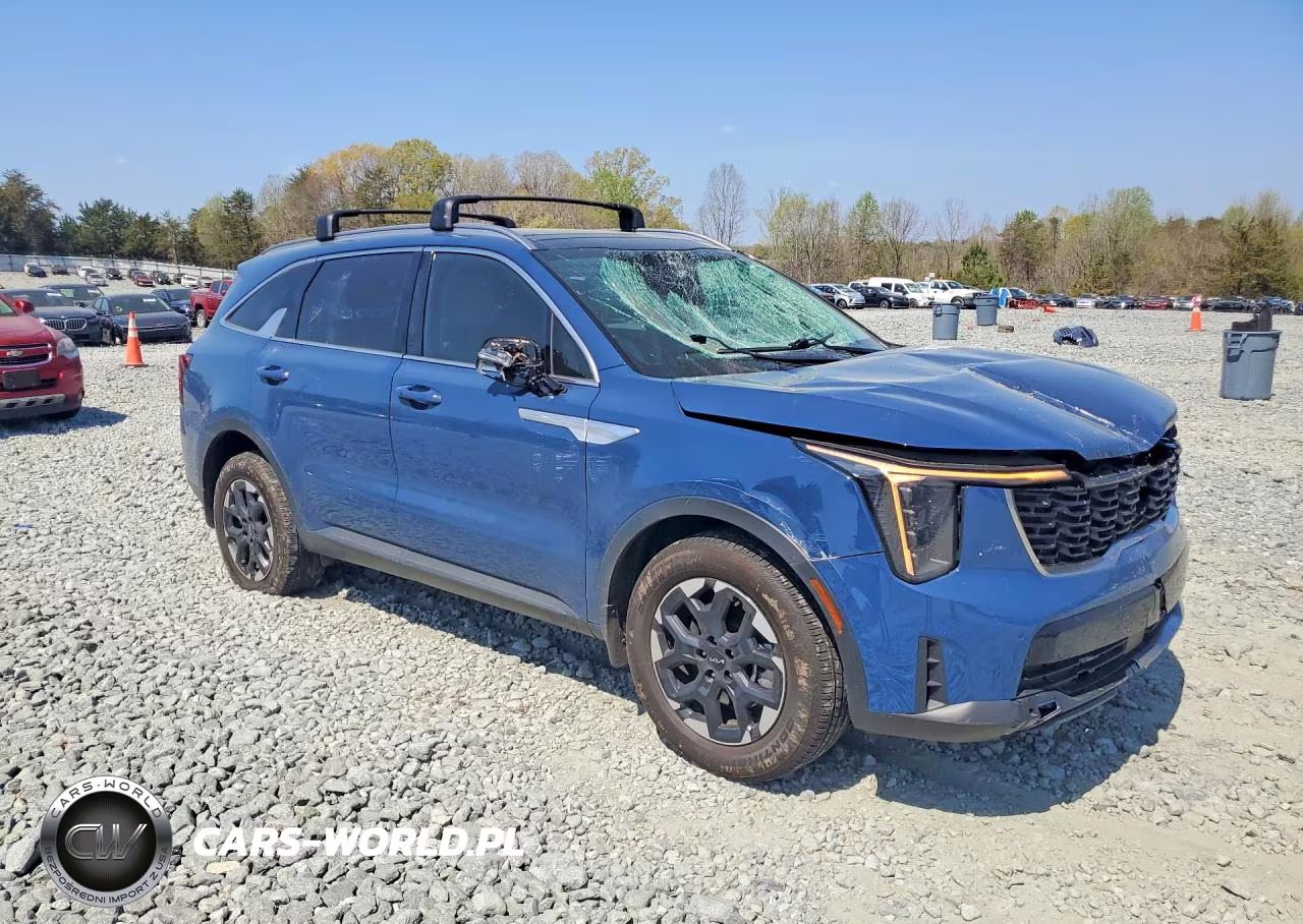 2024 Kia Sorento VIN:5XYRLDJC6RG278469 - 4