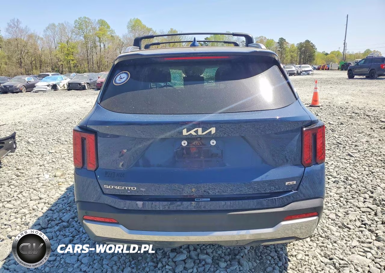 2024 Kia Sorento VIN:5XYRLDJC6RG278469 - 6