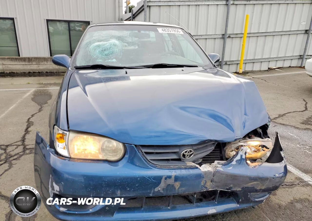 2001 Toyota Corolla Le VIN:1NXBR12E71Z453504 - 5