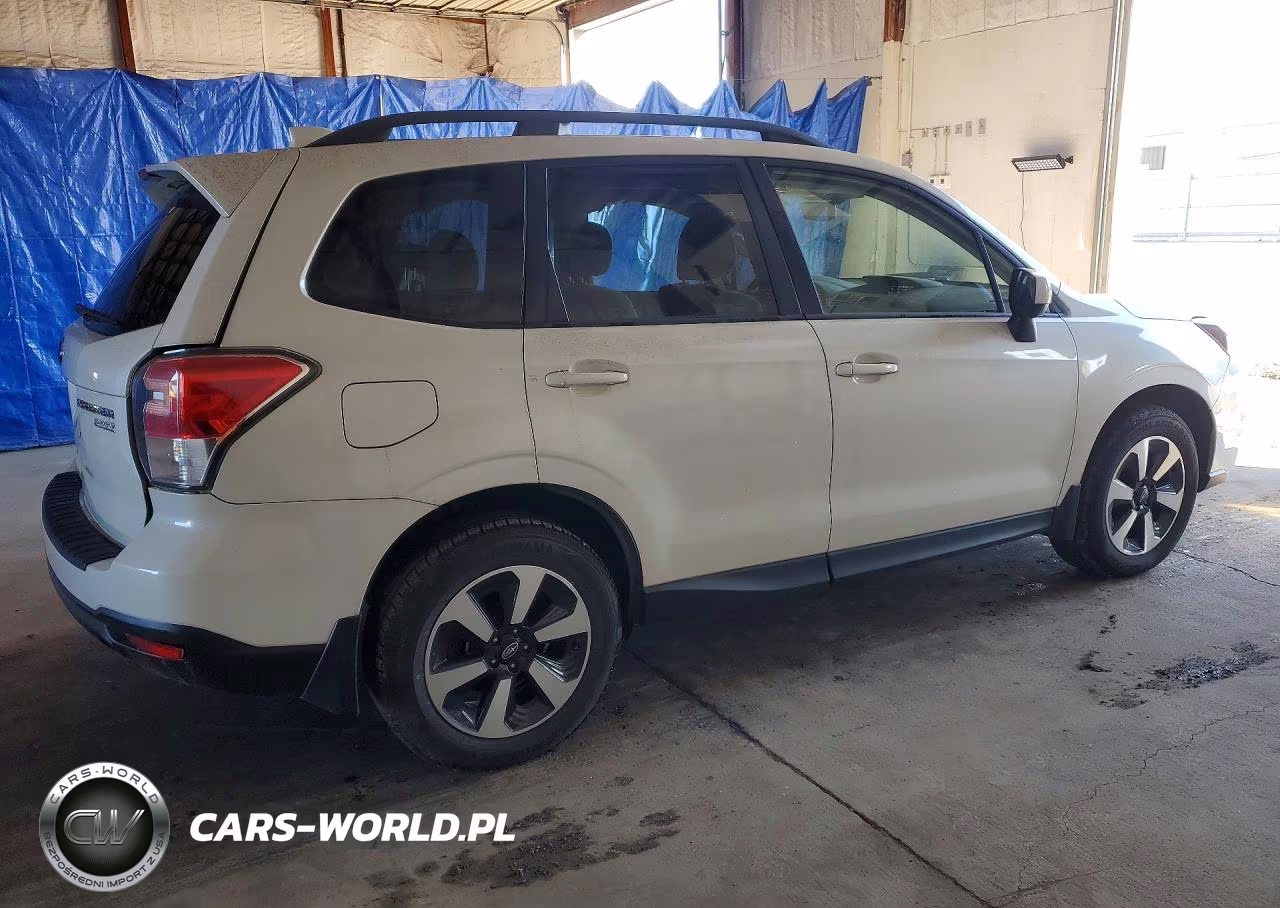 2017 Subaru Forester 2.5I Premium VIN:JF2SJAEC0HH447036 - 3