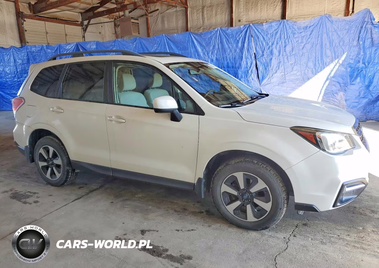 2017 Subaru Forester 2.5I Premium VIN:JF2SJAEC0HH447036 - 4