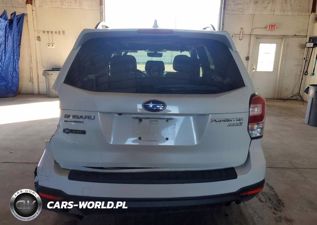 2017 Subaru Forester 2.5I Premium VIN:JF2SJAEC0HH447036 - 6