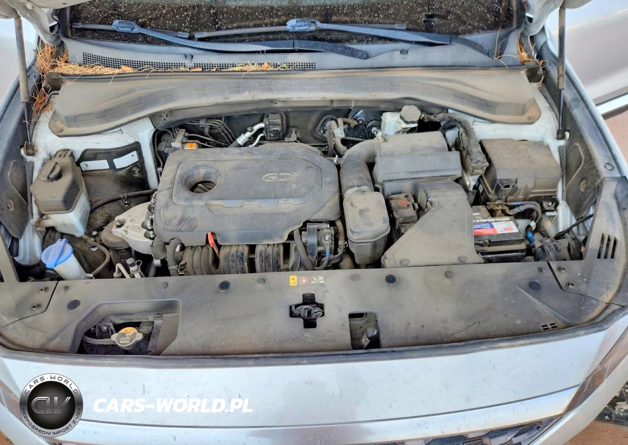 2019 Hyundai Santa Fe Sel 2.4L VIN:5NMS33AD3KH041535 - 12