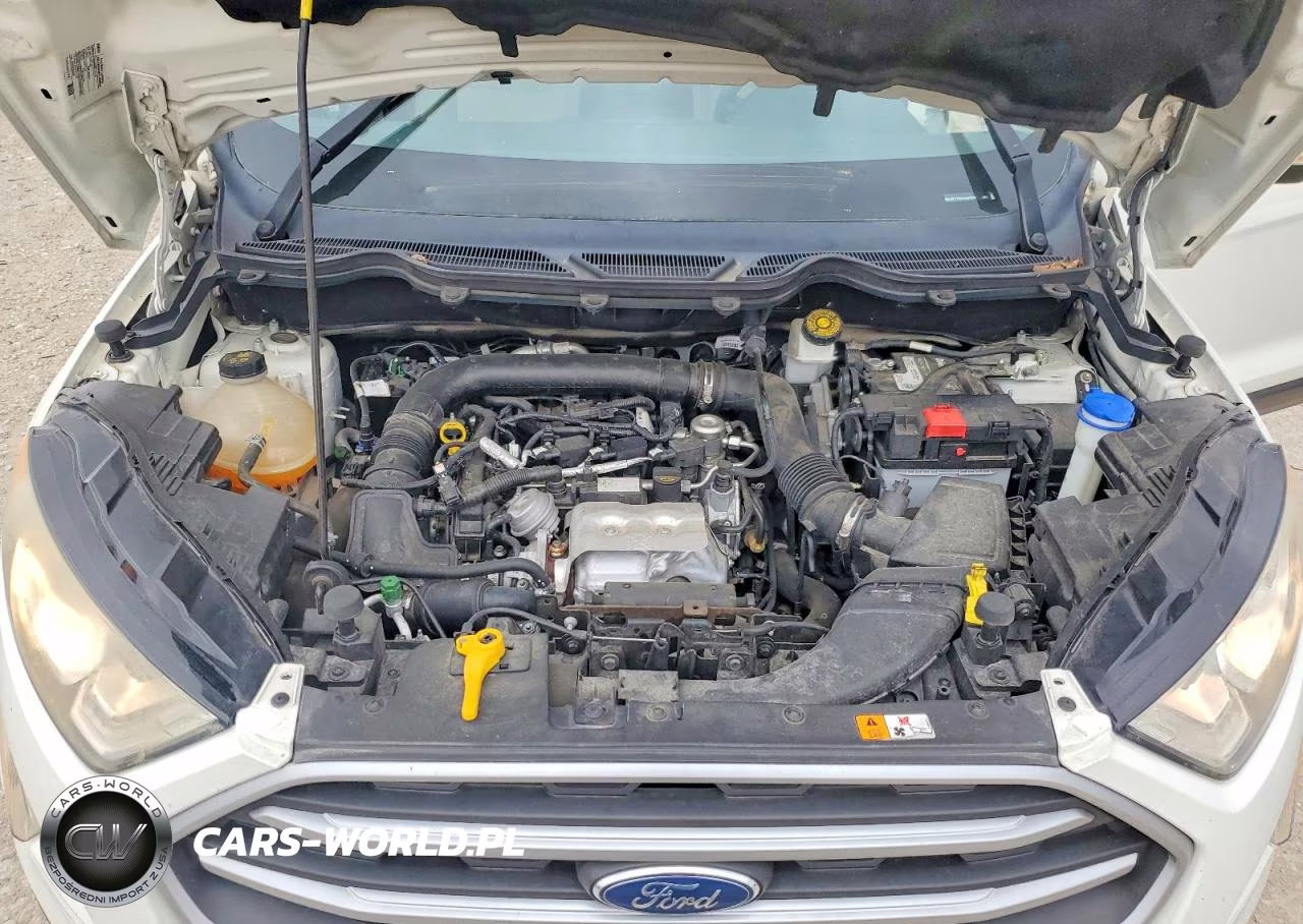 2018 Ford Ecosport Se VIN:MAJ3P1TE4JC207566 - 12