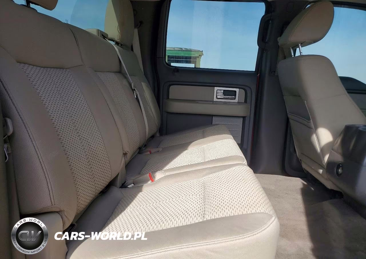 2010 Ford F150 Supercrew VIN:1FTFW1EV0AFB15313 - 10