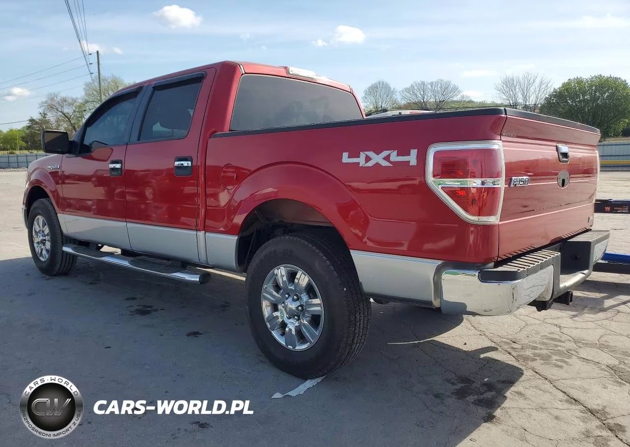 2010 Ford F150 Supercrew VIN:1FTFW1EV0AFB15313 - 2