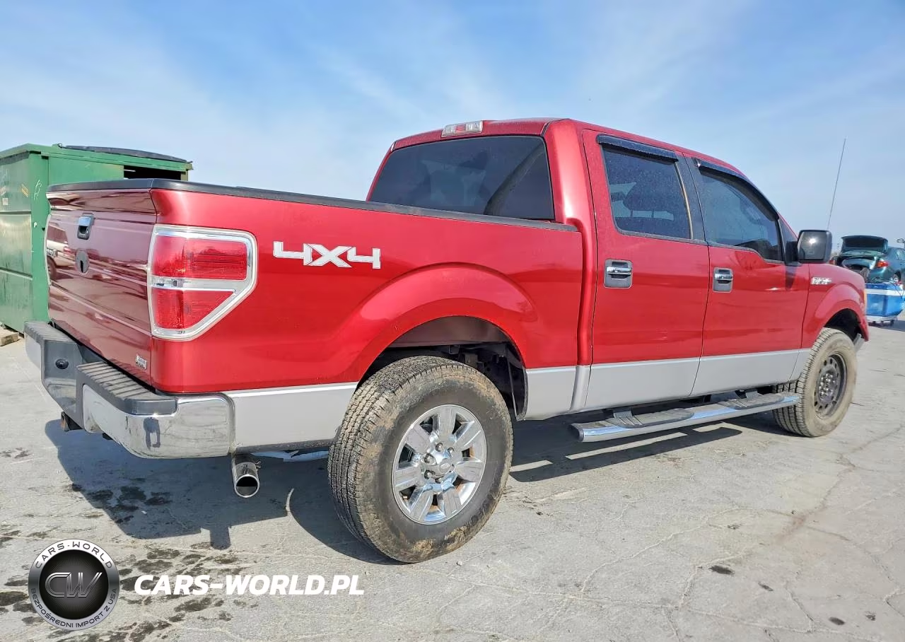 2010 Ford F150 Supercrew VIN:1FTFW1EV0AFB15313 - 3