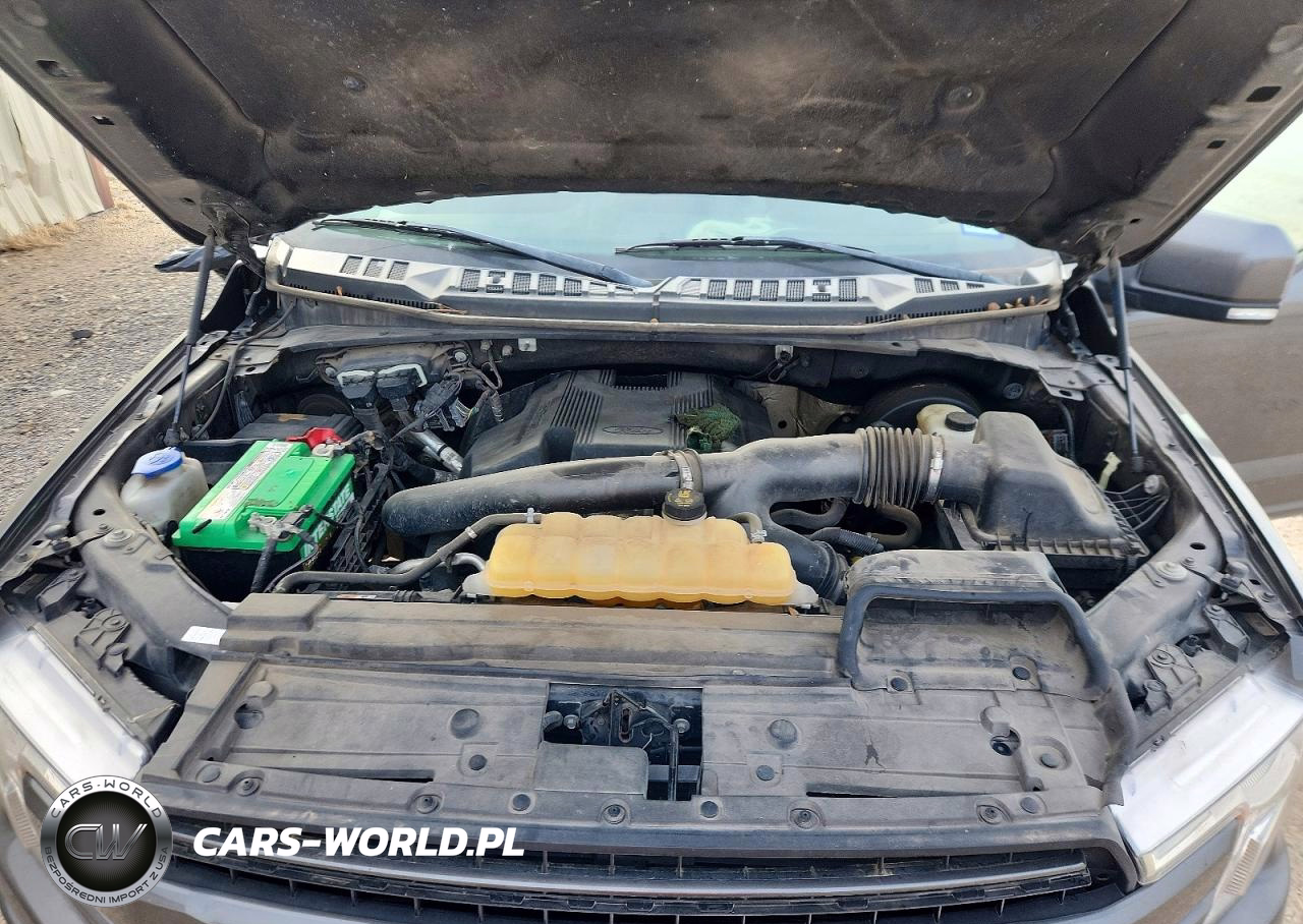 2019 Ford F150 Supercrew VIN:1FTEW1C45KKC11825 - 11
