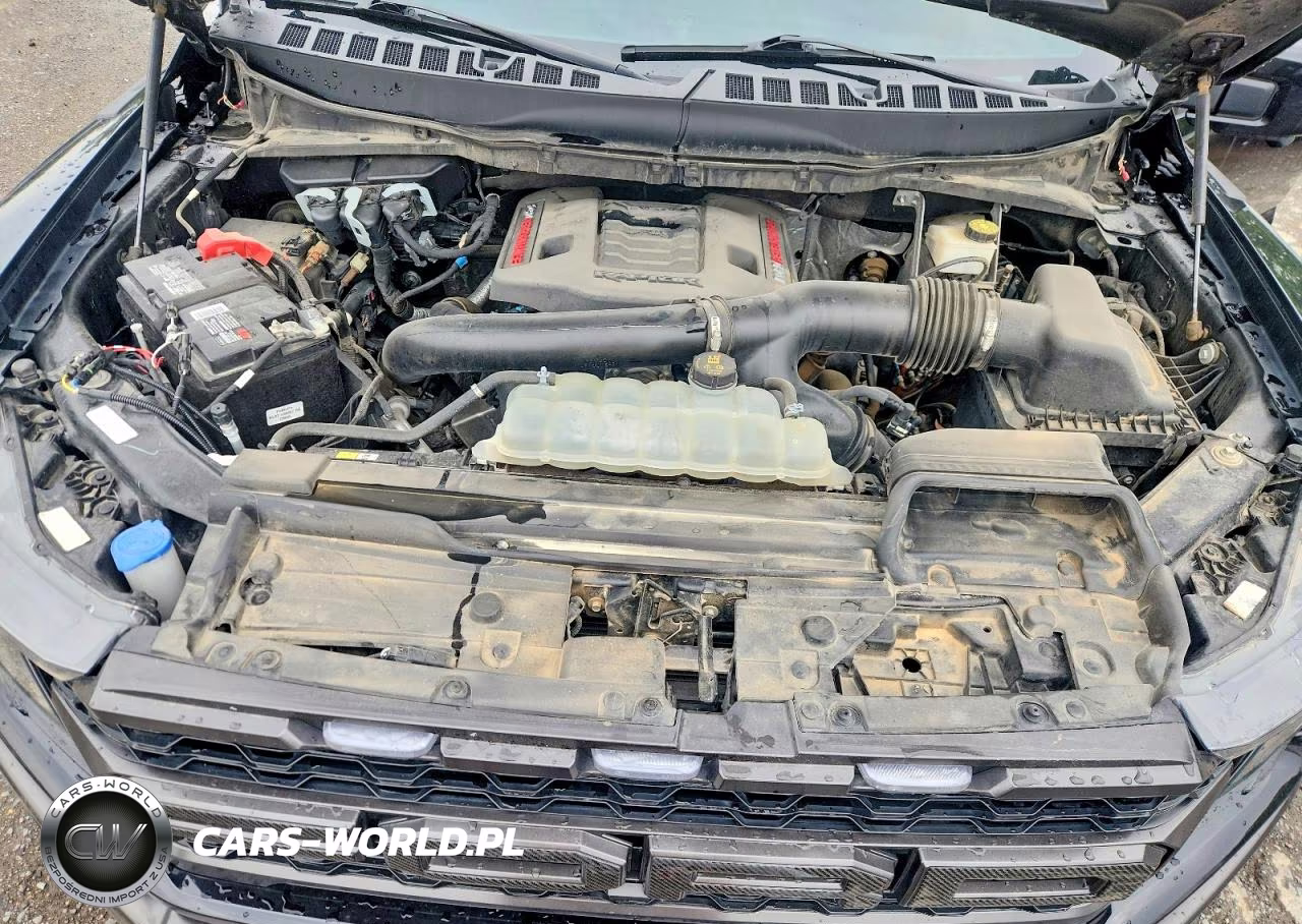 2023 Ford F150 Raptor VIN:1FTFW1RG5PFC63543 - 11