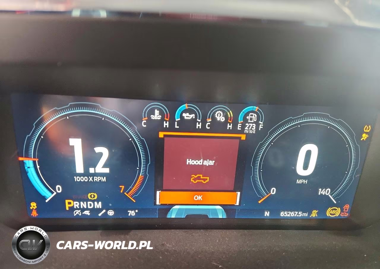2023 Ford F150 Raptor VIN:1FTFW1RG5PFC63543 - 9