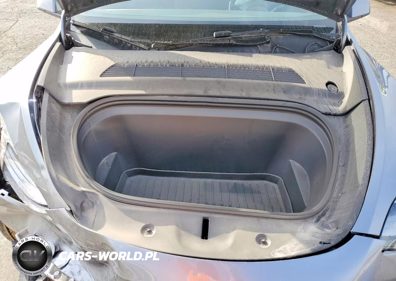2024 Tesla Model Y VIN:7SAYGAEE5RF171062 - 12
