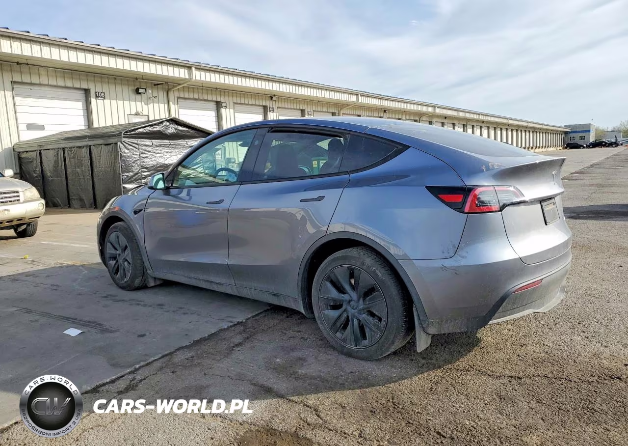 2024 Tesla Model Y VIN:7SAYGAEE5RF171062 - 2