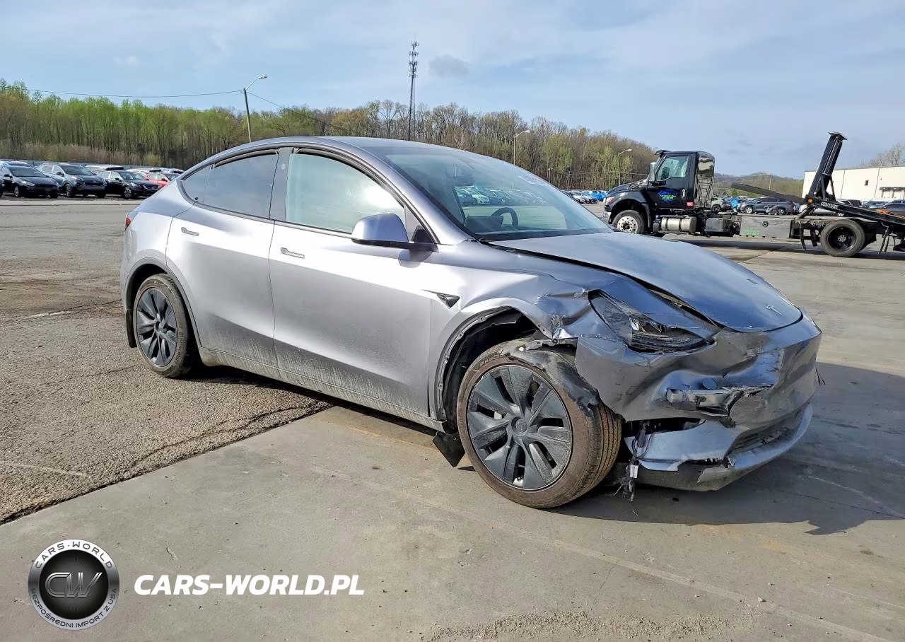2024 Tesla Model Y VIN:7SAYGAEE5RF171062 - 4