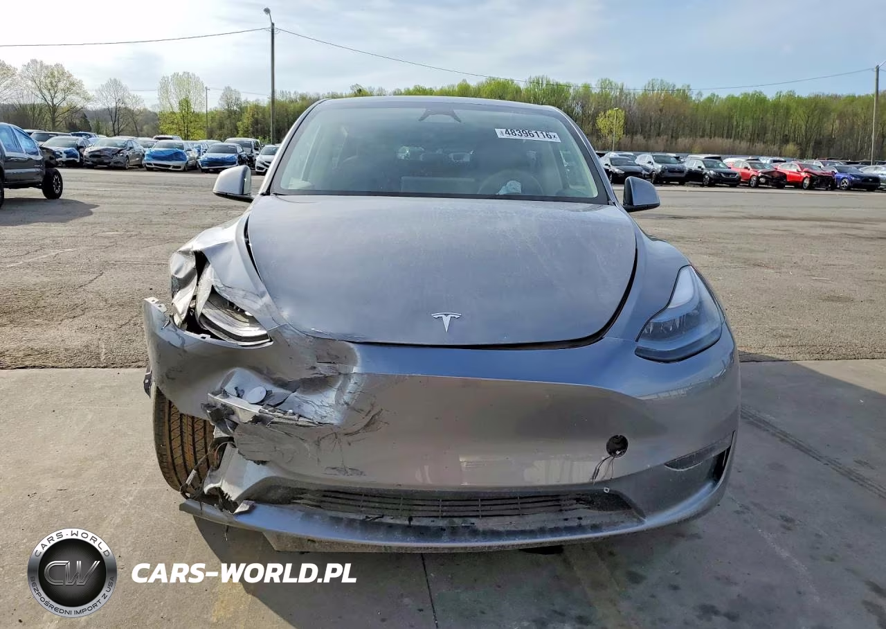 2024 Tesla Model Y VIN:7SAYGAEE5RF171062 - 5