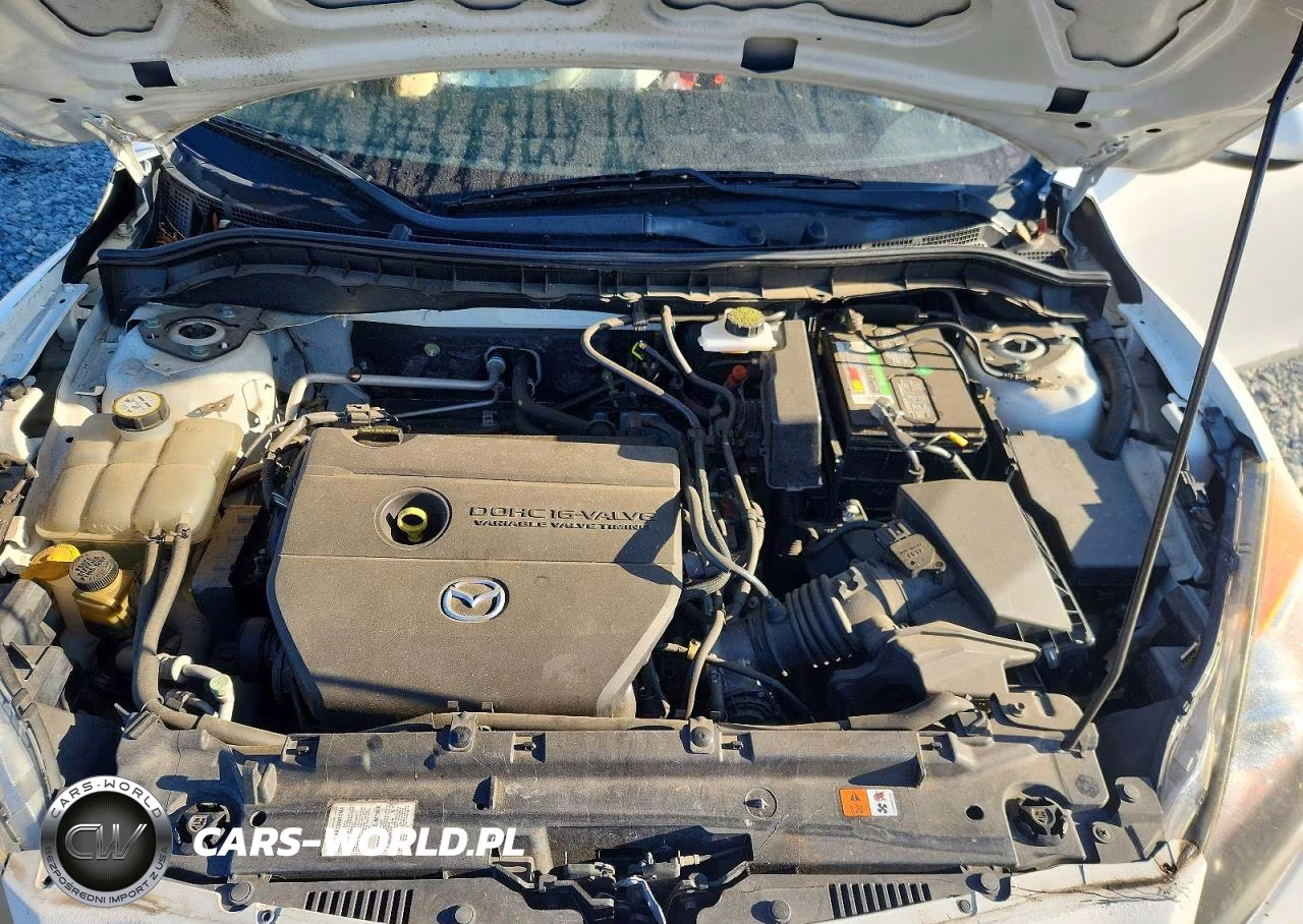 2010 Mazda 3 I VIN:JM1BL1SFXA1292498 - 11