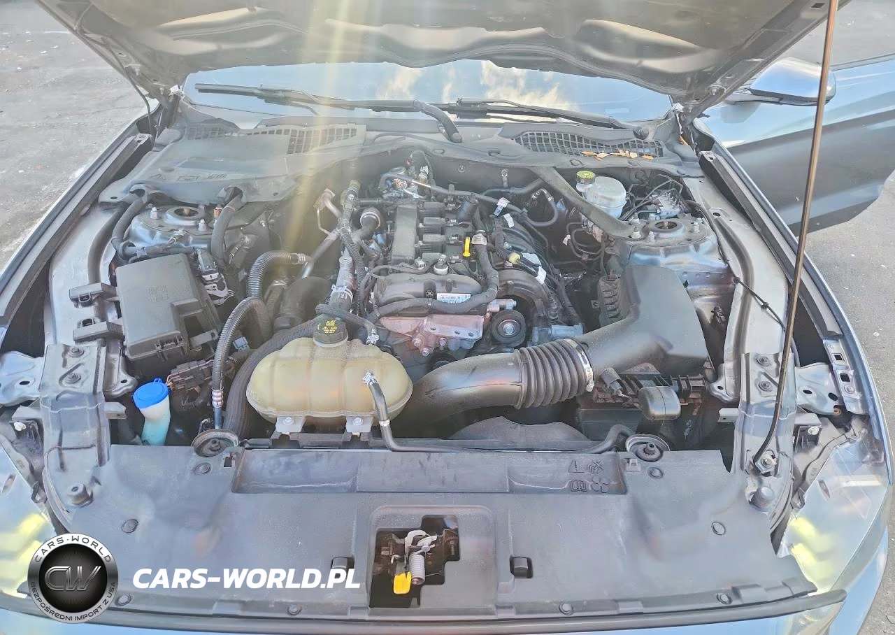 2021 Ford Mustang VIN:1FATP8UH2M5120856 - 11