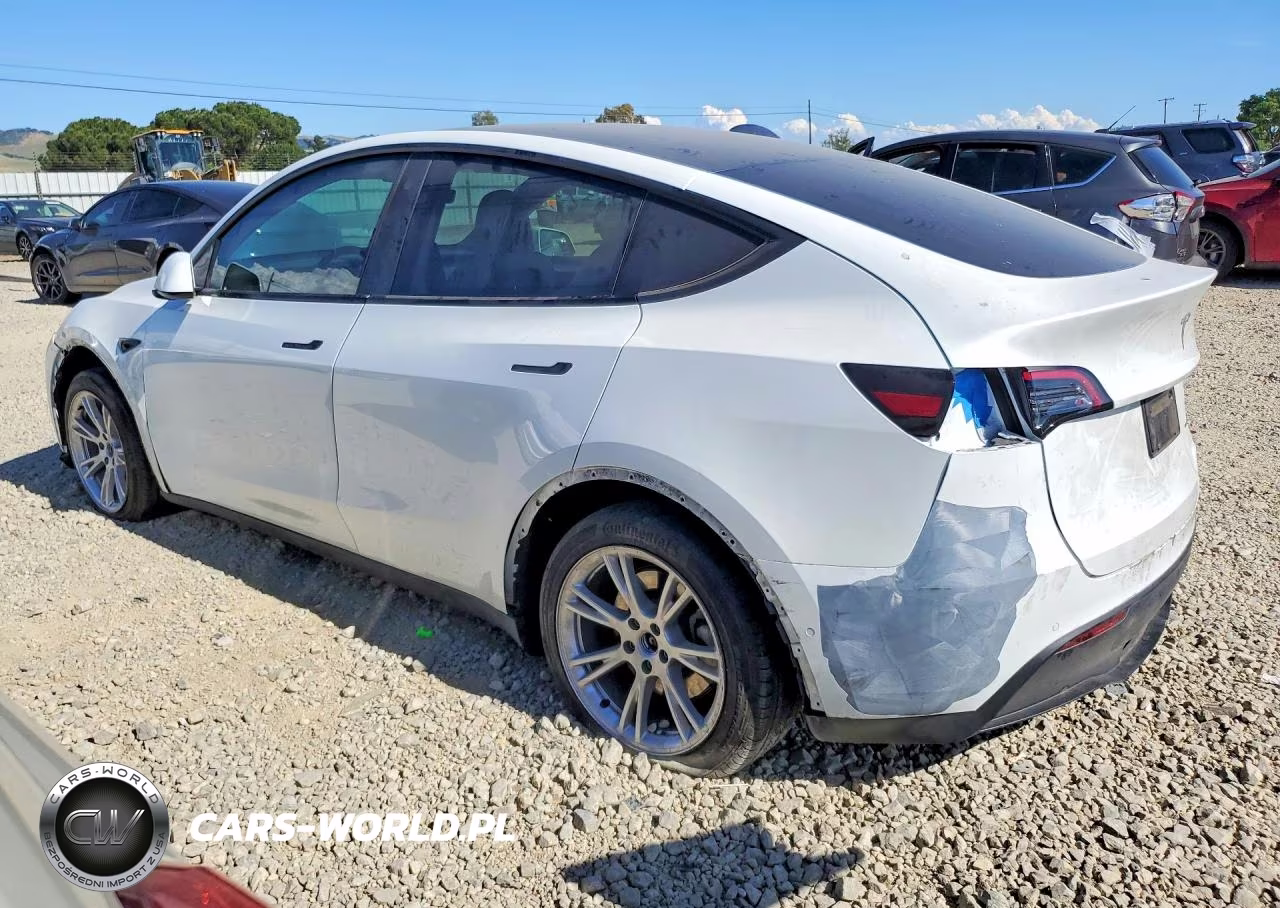 2022 Tesla Model Y VIN:7SAYGAEE2NF570134 - 2