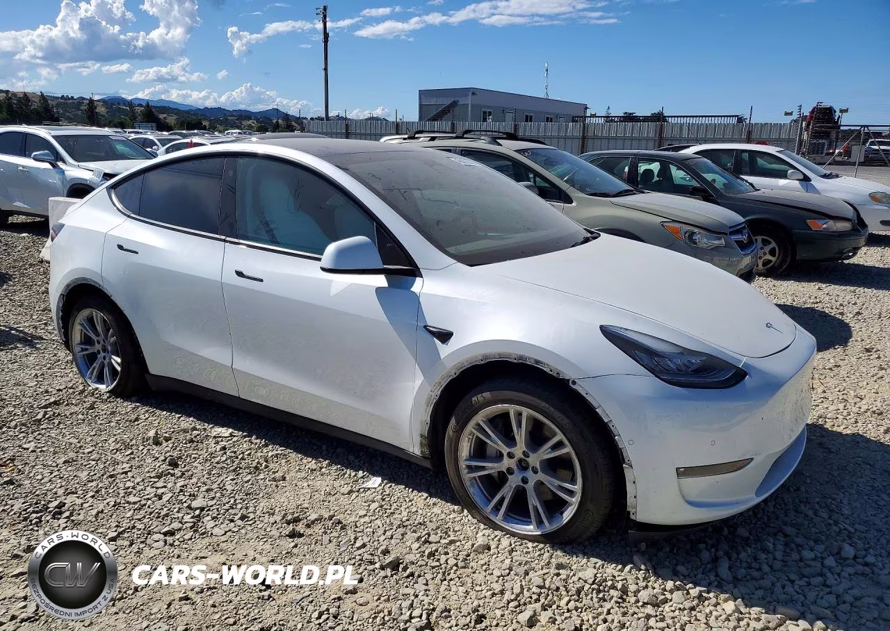 2022 Tesla Model Y VIN:7SAYGAEE2NF570134 - 4