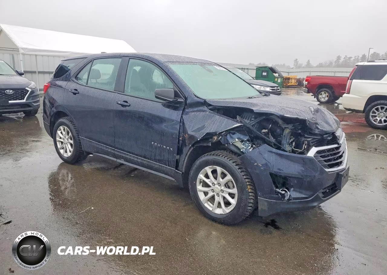 2020 Chevrolet Equinox Ls VIN:3GNAXSEV0LS695875 - 4