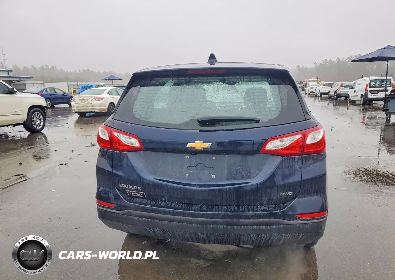 2020 Chevrolet Equinox Ls VIN:3GNAXSEV0LS695875 - 6