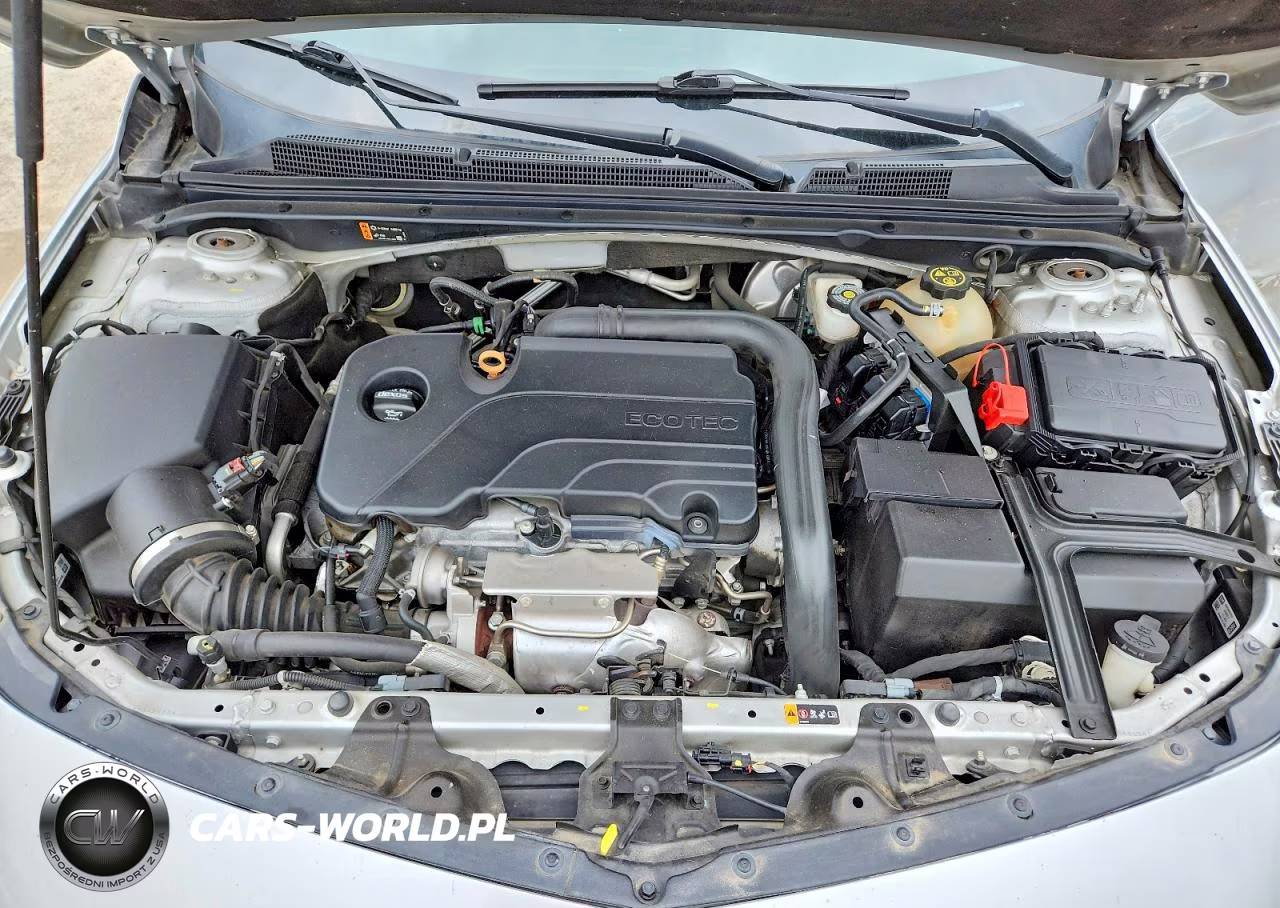 2019 Chevrolet Malibu Lt VIN:1G1ZD5ST0KF155883 - 11