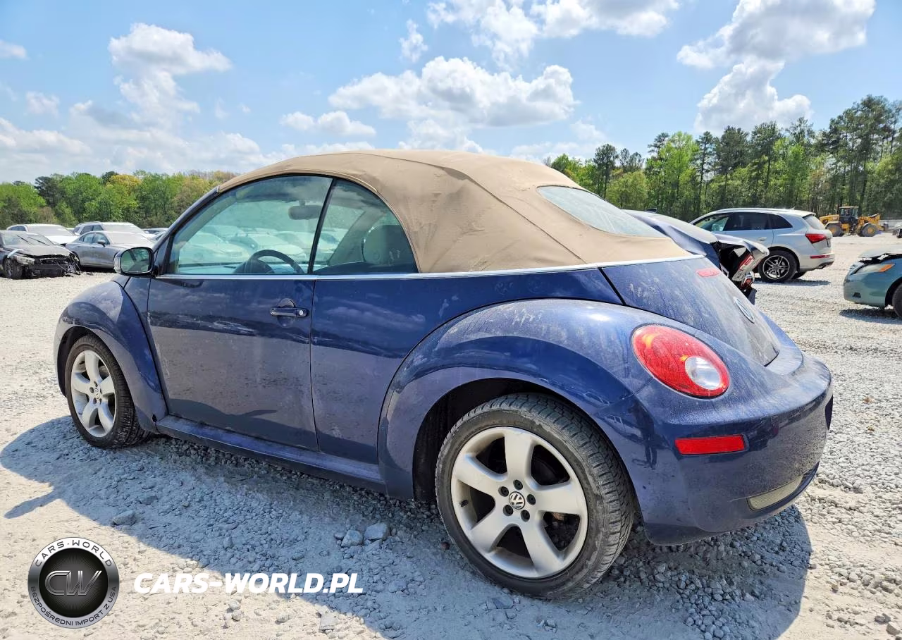 2006 Volkswagen New Beetle Conv VIN:3VWSF31Y66M314557 - 2