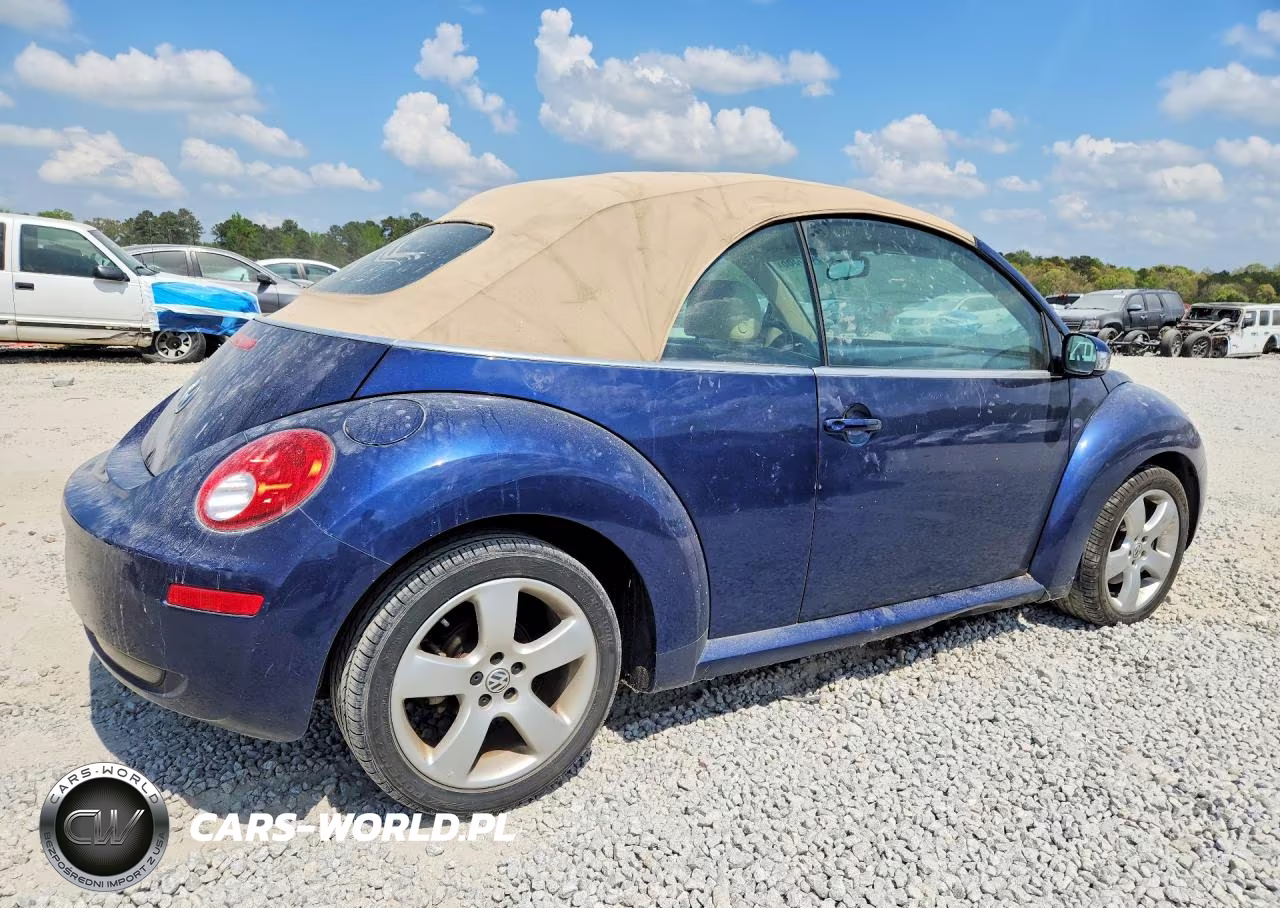 2006 Volkswagen New Beetle Conv VIN:3VWSF31Y66M314557 - 3