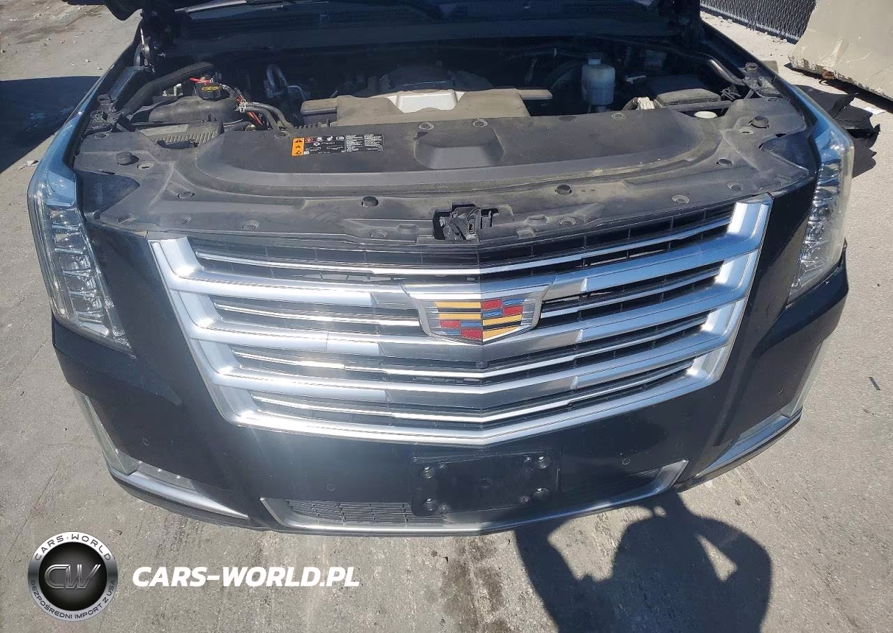 2019 Cadillac Escalade Platinum VIN:1GYS4DKJ3KR149523 - 12